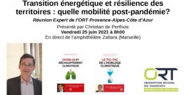 Réunion expert du 25 juin 2021 : Transition énergétique et résilience des territoires : quelle mobilité post-pandémie?